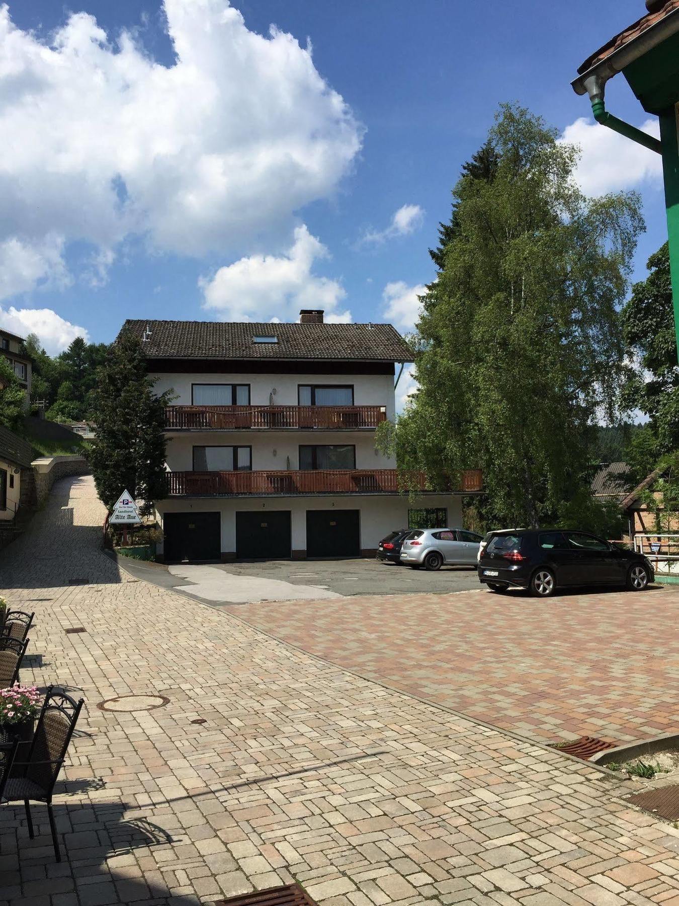 Landhotel Alte Aue Altenau  Εξωτερικό φωτογραφία